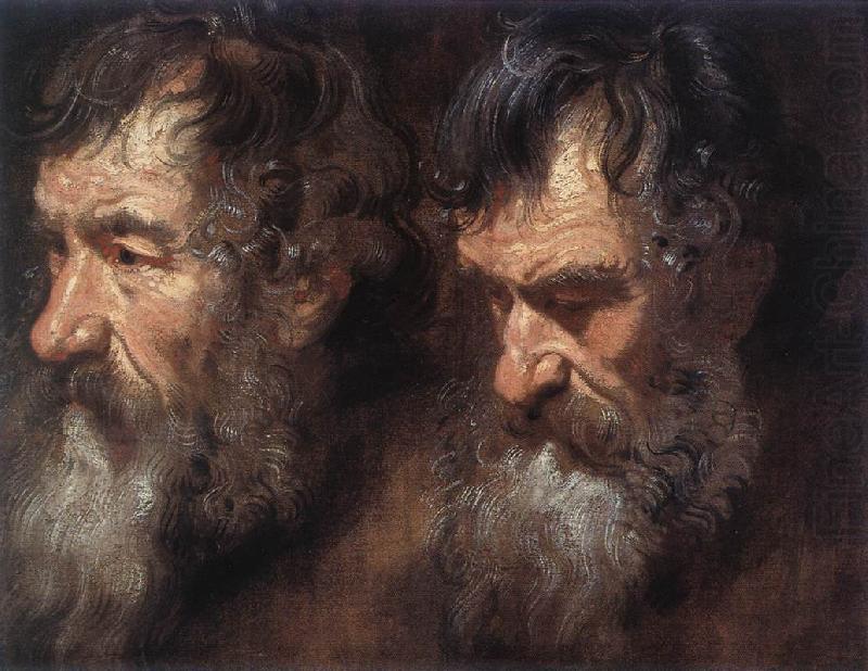 Studies of a Man s Head, DYCK, Sir Anthony Van